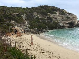 17343039_10154783046973891_1612539556174497474_n