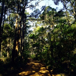 Wharncliffe Mill Entry - WGH Celebrant